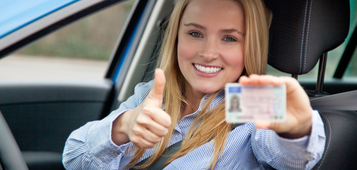 www.drivingpermits.de